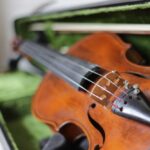 Violin,-,An,Orchestral,Or,Solo,Professional,Bowed,Musical,Instrument